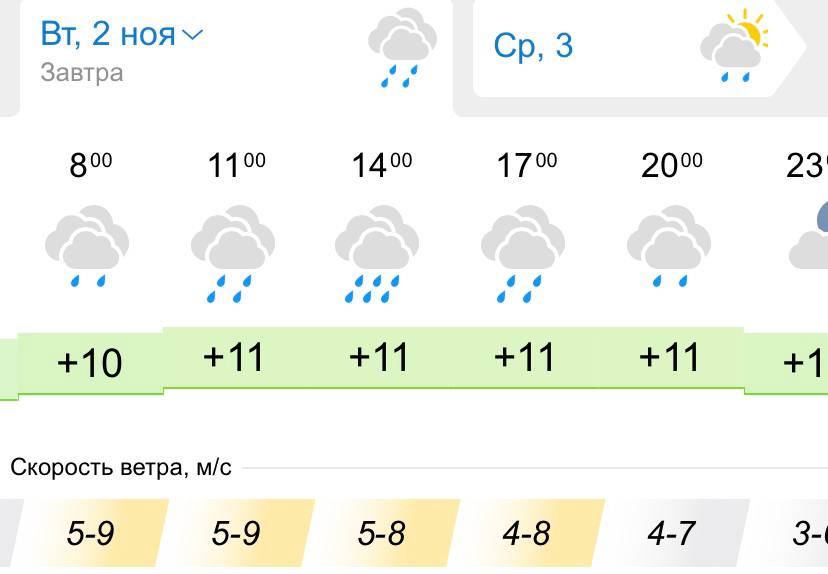 Погода 2 ноября 2021 - новости Днепра