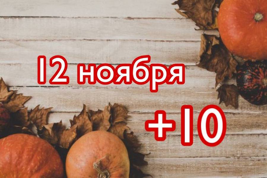 Погода 12 ноября 2021- новости Днепра