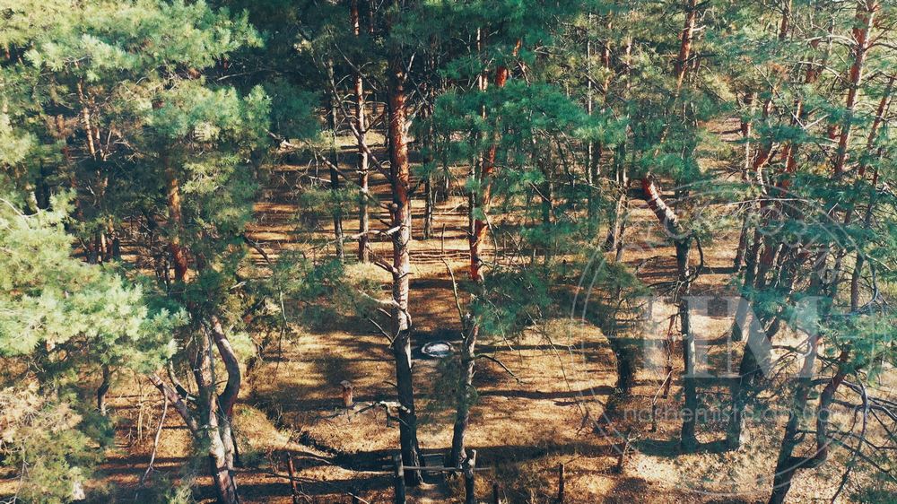 Капище в Фрунзенском лесу, видео - новости Днепра