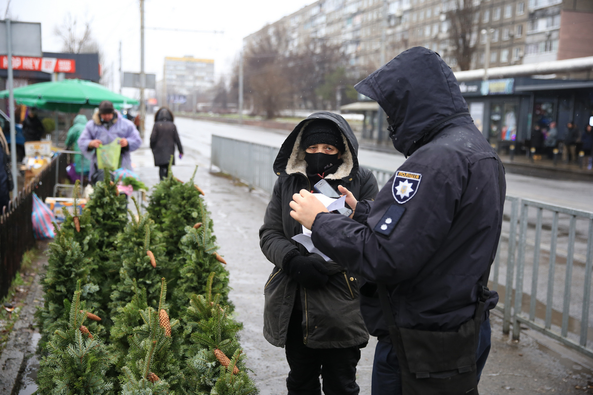 Начали массово проверять елочные базары - новости Днепра