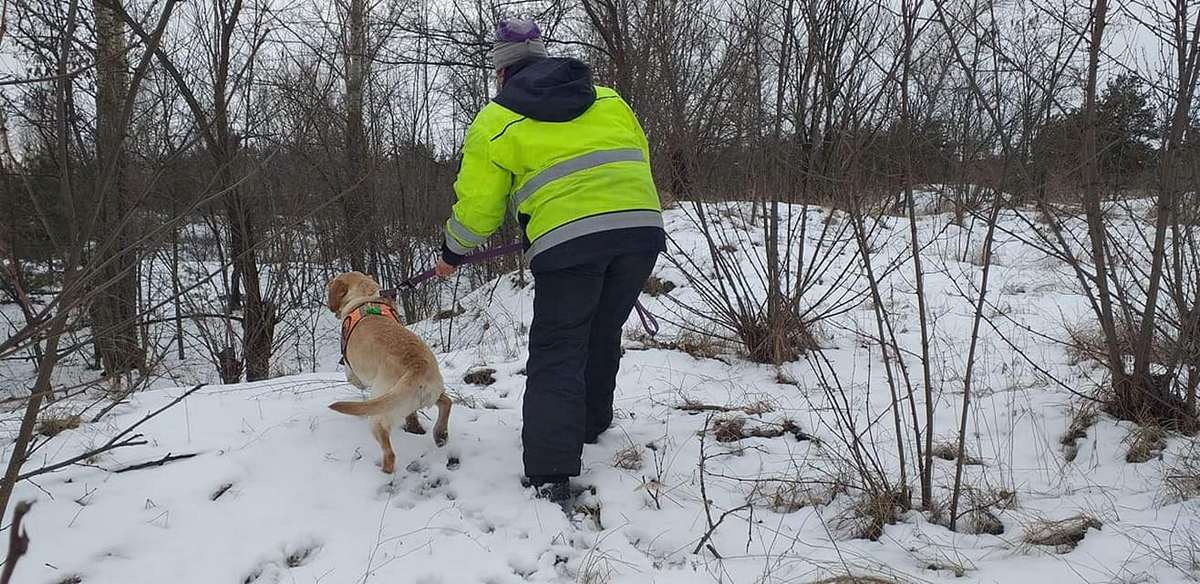 В Павлограде маршрутчики не берут в салон кинологов - новости Днепра