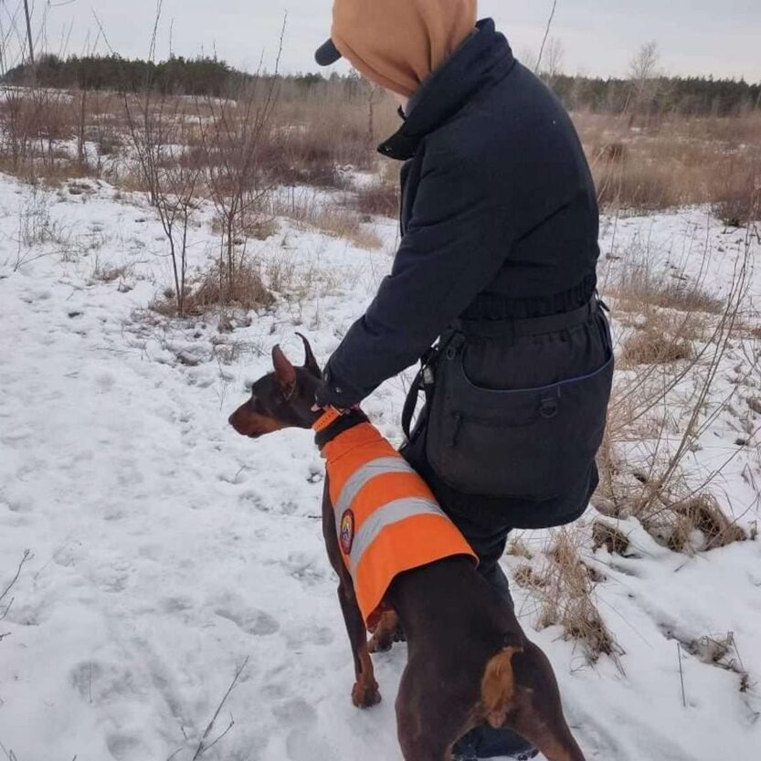 В Павлограде маршрутчики не берут в салон кинологов - новости Днепра