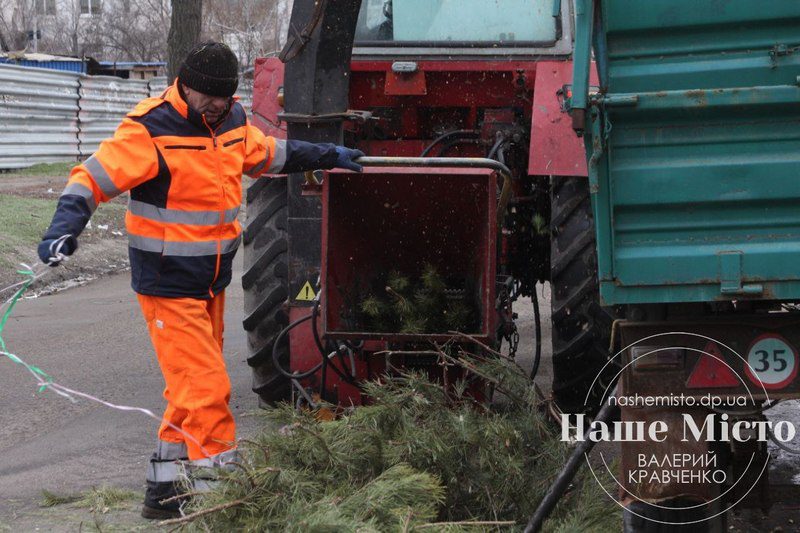 Как утилизируют елки - новости Днепра