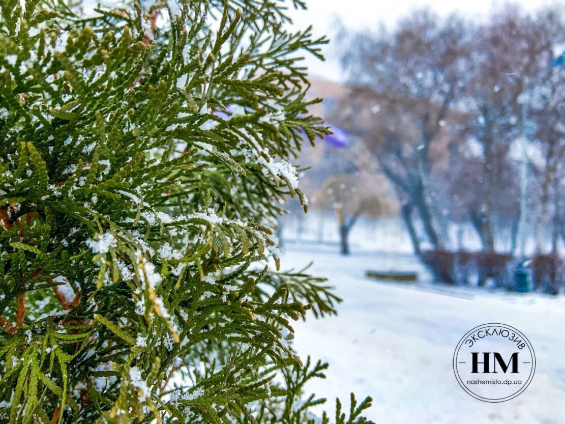 Город накрыло снегопадом (Фото) - новости Днепра