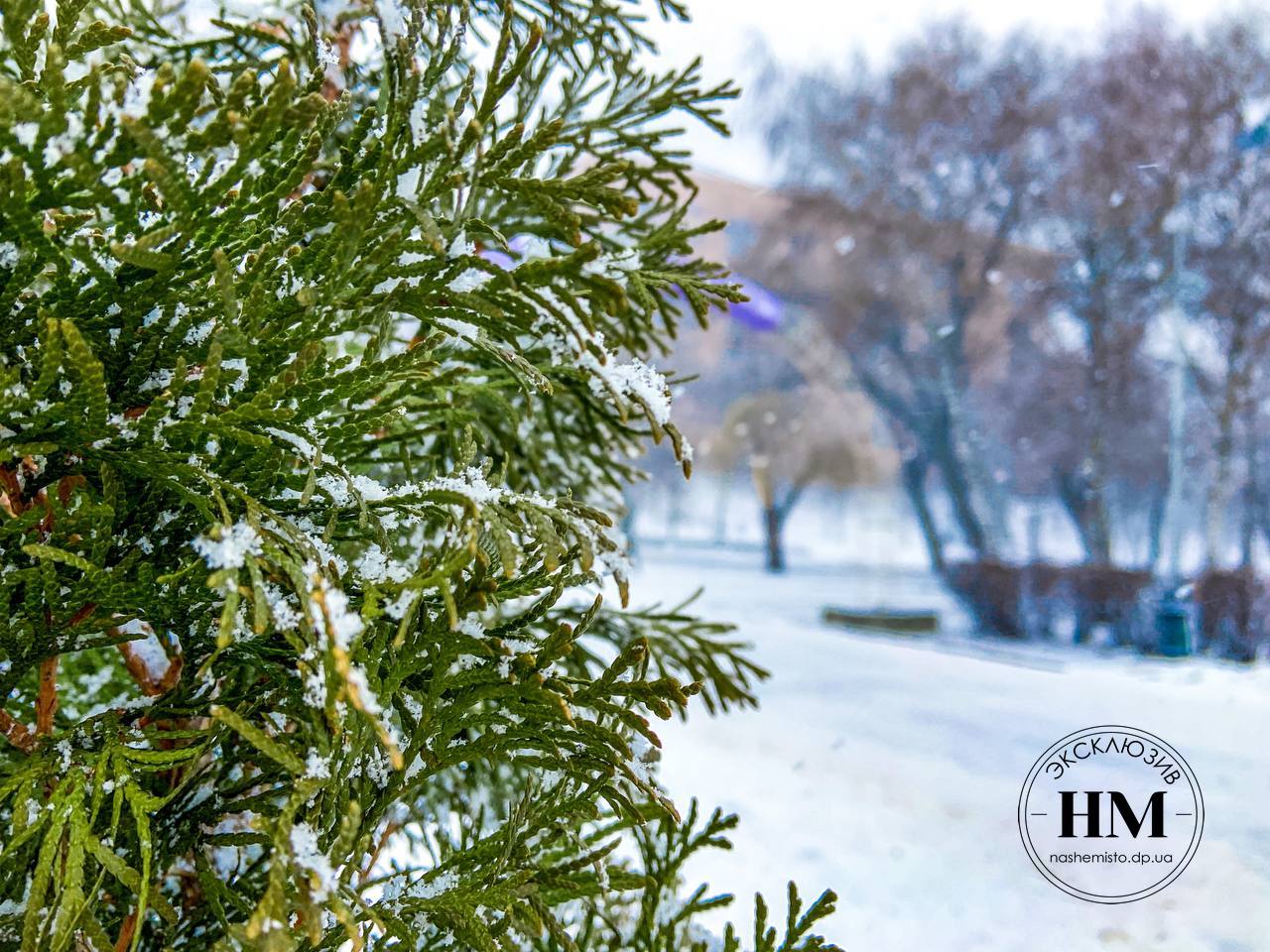 Город накрыло снегопадом (Фото) - новости Днепра