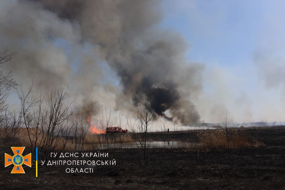 В Днепропетровской области загорелся лес (Фото) - новости Днепра