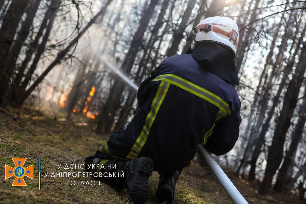 В Днепропетровской области загорелся лес (Фото) - новости Днепра