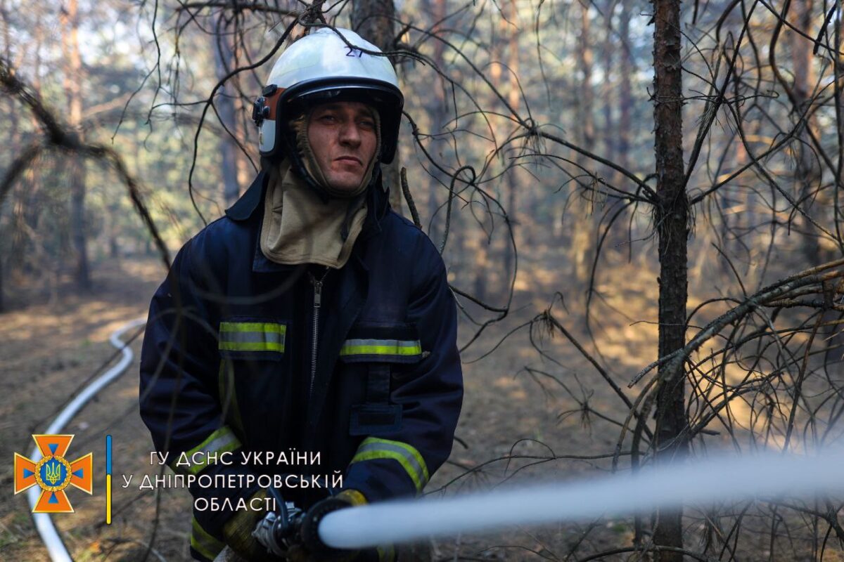 В Днепропетровской области загорелся лес (Фото) - новости Днепра