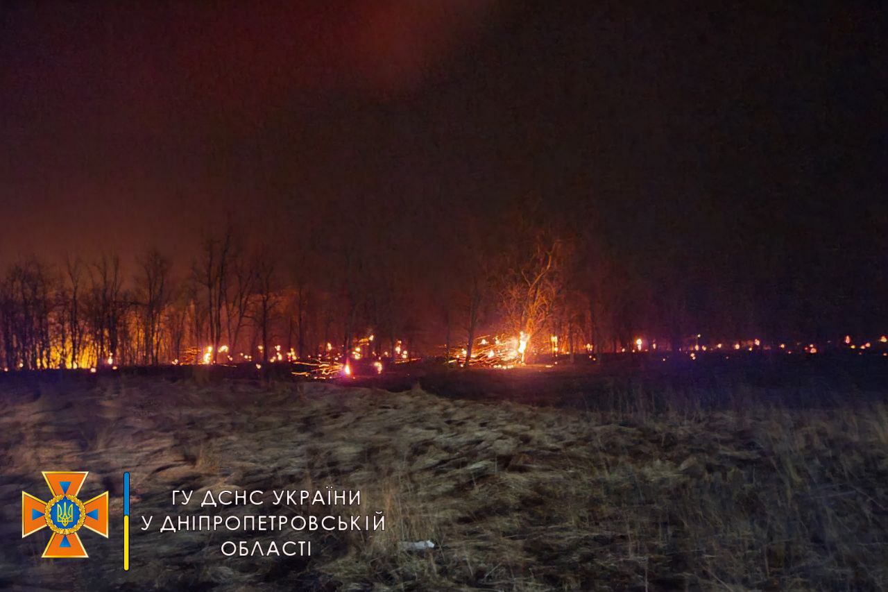 Сражаются 4 пожарные части: под Днепром бушует ужасный пожар в экосистеме