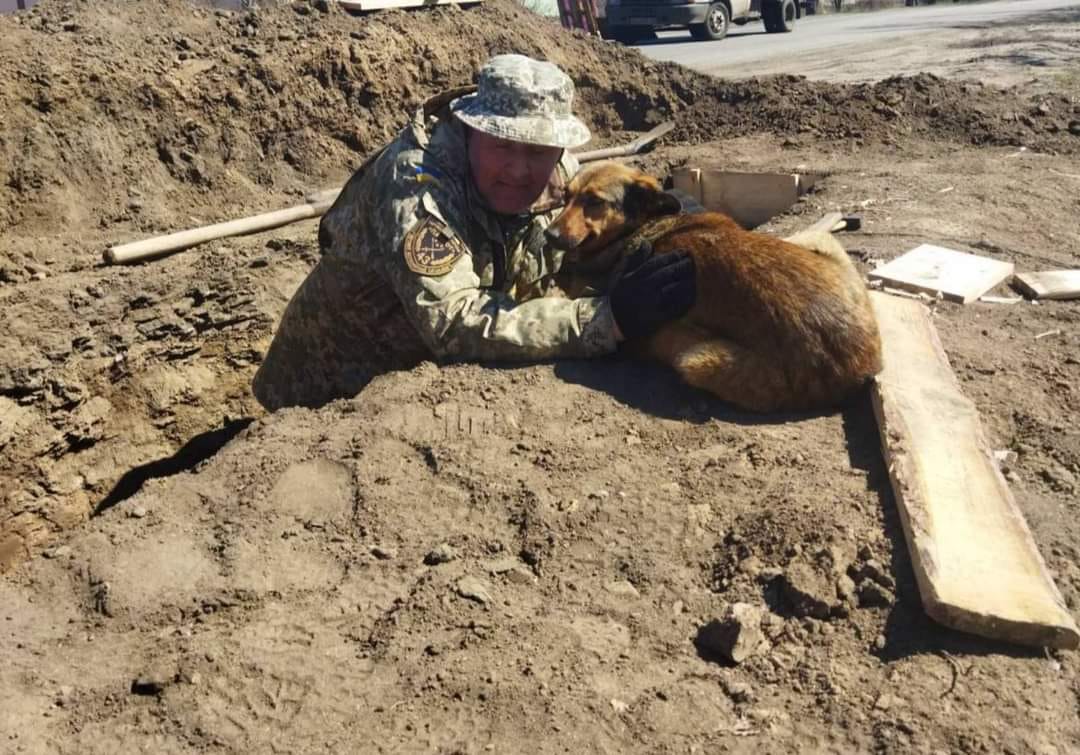 У Нікополі собака збігає з притулку на блокпост (Фото) Новини Дніпра