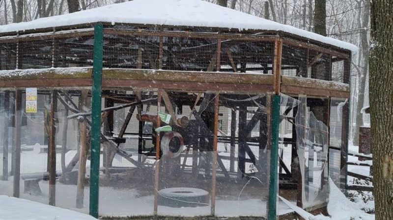 Спасаем животных из «Фельдман экопарка», Филатов - новости Днепра