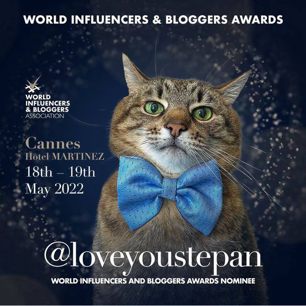 Instagram-блогера кота Степана номинировали премию World Influencers and Bloggers Awards 2022