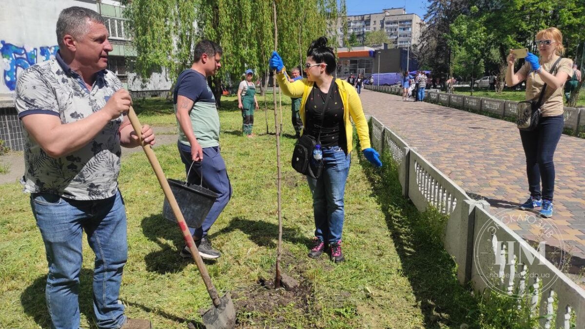 Высадка деревьев в сквере Янгеля - Наше Мисто