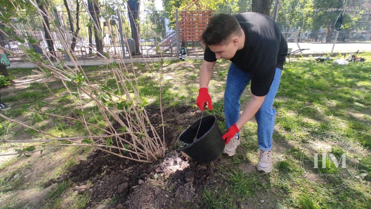 Высадка деревьев в сквере Янгеля - Наше Мисто