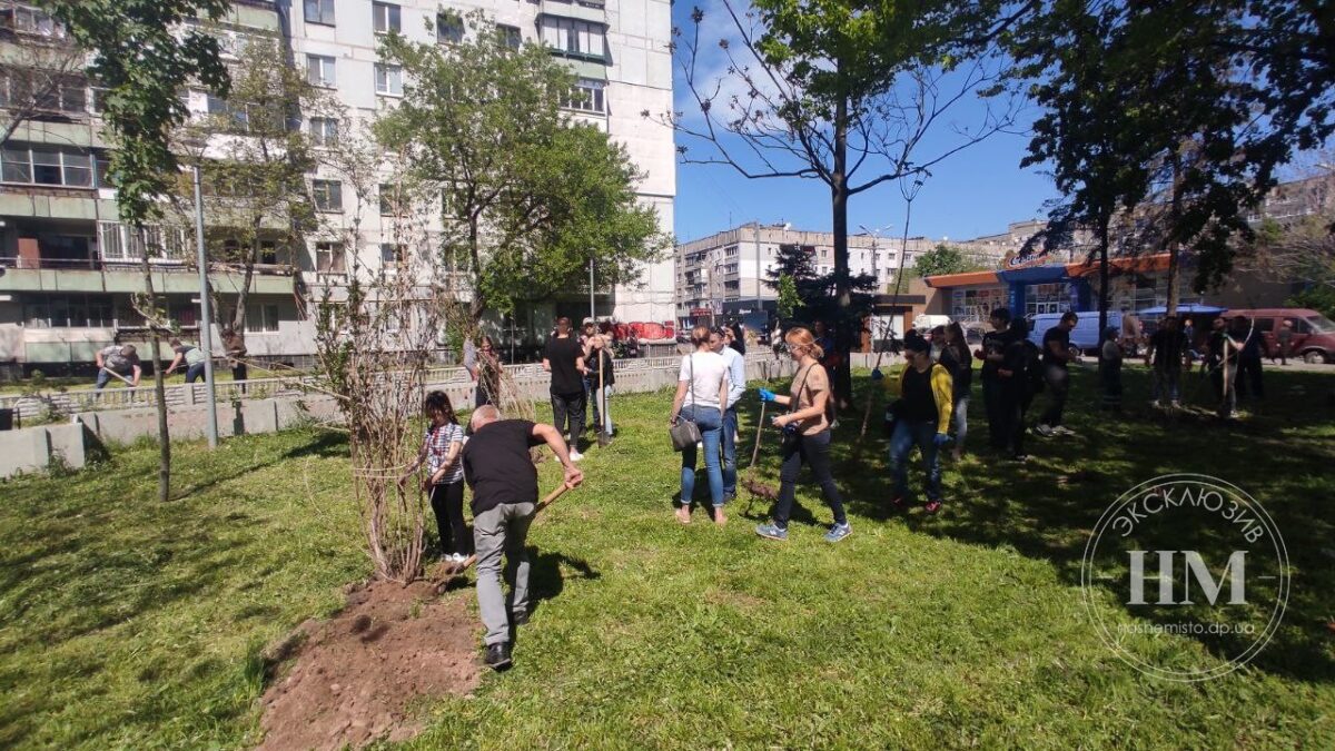 Высадка деревьев в сквере Янгеля - Наше Мисто