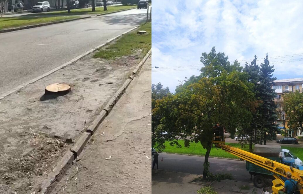 Новини Дніпра: Випил дерев