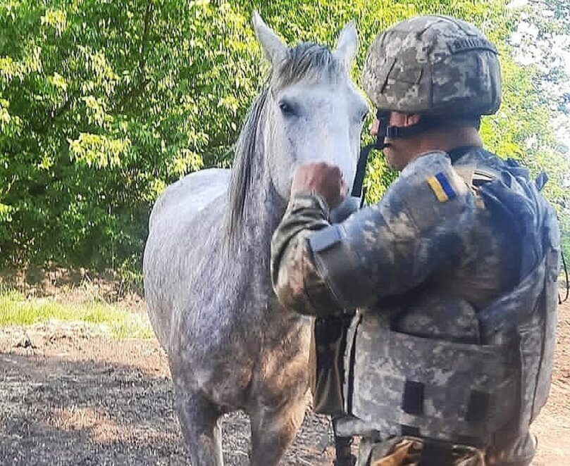 Новини Дніпра: Порятунок коней від війни