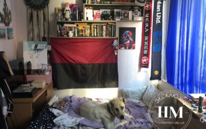 Допомагали усім світом: як закінчилась історія врятованого алабая з Куп'янську (Ексклюзив) Новини Дніпра