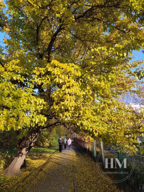 Свято 15 листопада - Наше Місто