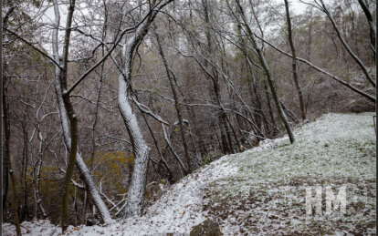 Новини Дніпра: Парк Зелений Гай фото взимку - Наше Місто