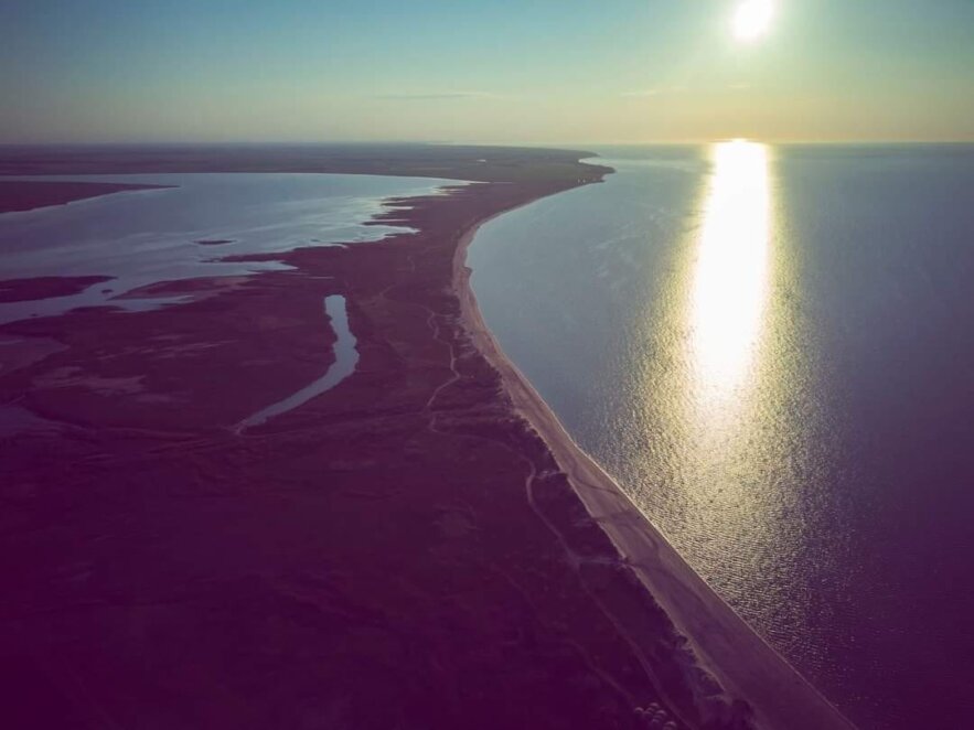 На Азовоському морі вимирають червонокнижні раки і креветки