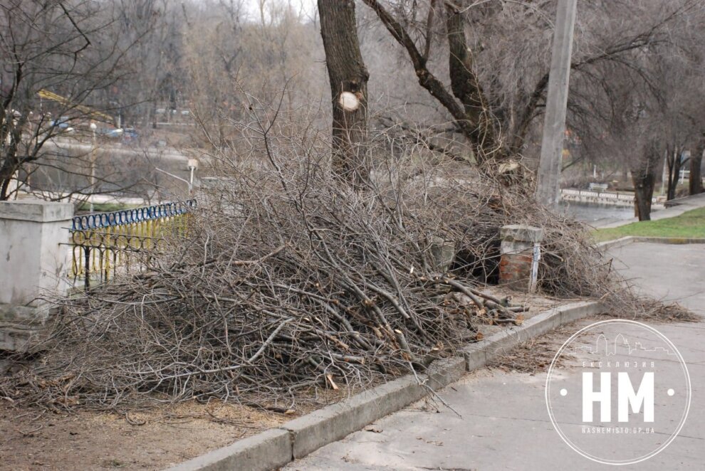 Новини Дніпра: Пиляють дерева в парку Глоби