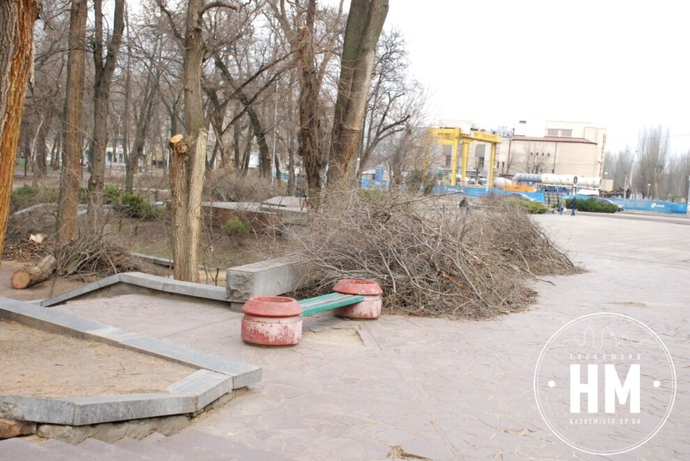 Новини Дніпра: Пиляють дерева в парку Глоби