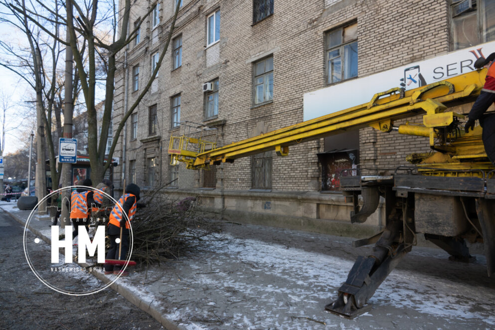 Поки дерева сплять: у Дніпрі на пр. Гагаріна працюють співробітники КП “Міськзеленбуд”