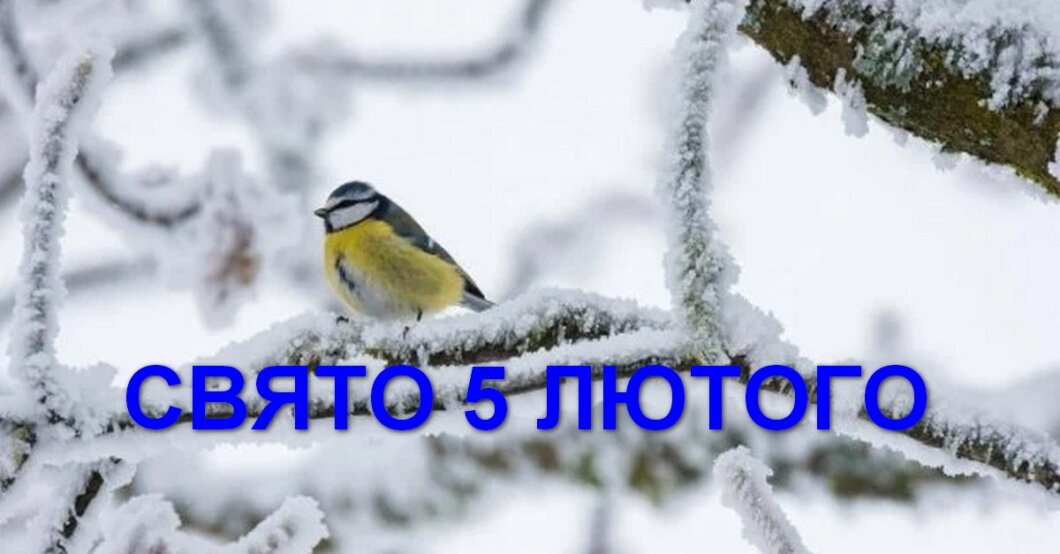 Новини Дніпра: Свято 5 лютого заборони прикмети