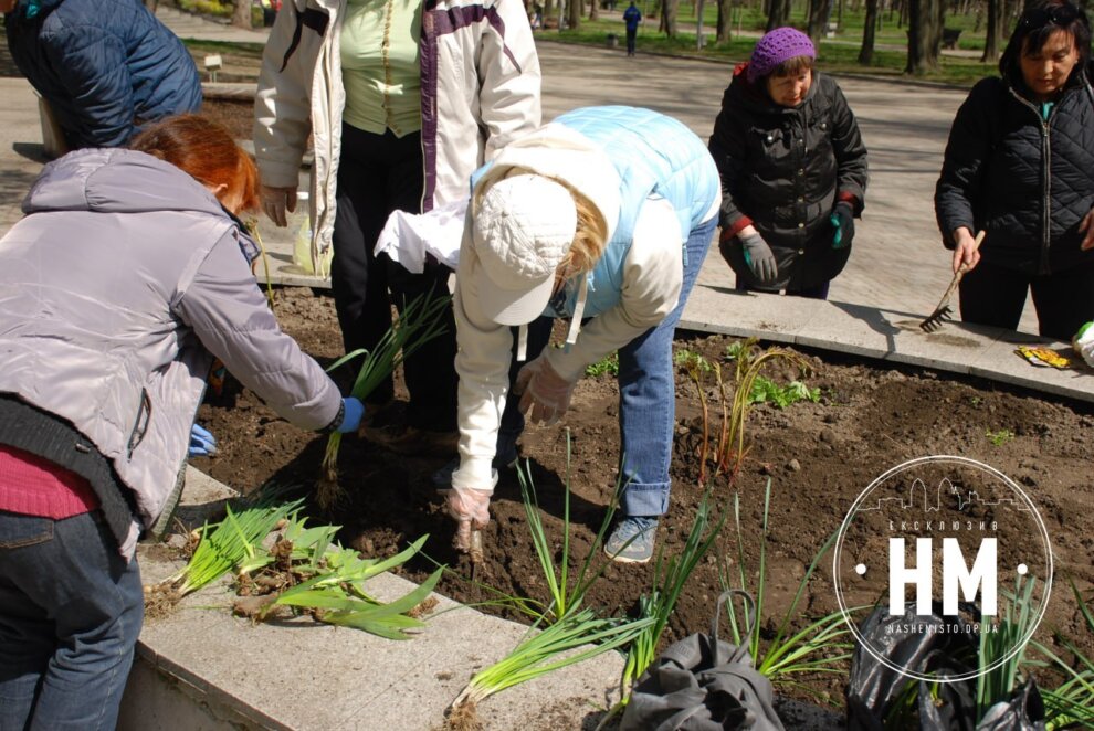 Дніпро квітучий: слухачі «Університету третього віку» висадили квіти на клумбах у парку ім. Т. Г. Шевченка