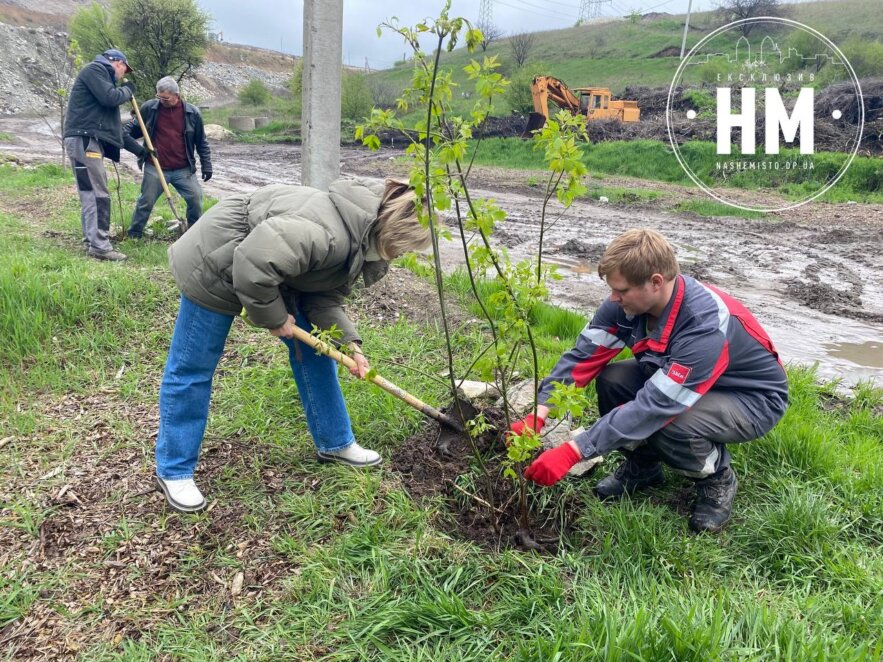 «Дніпро Квітучий»: в Дніпрі продовжують озеленювати полігон побутових відходів «Правобережний»