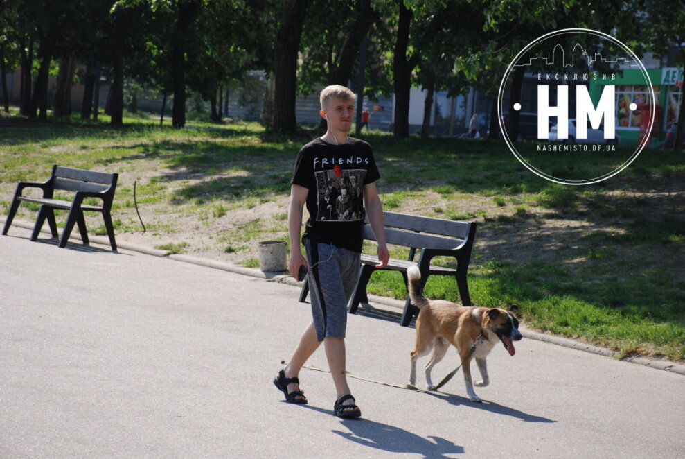 В обіймах сонця та дитячих посмішок: «Райончик» у Дніпрі зачаровує травневою красою (фото)