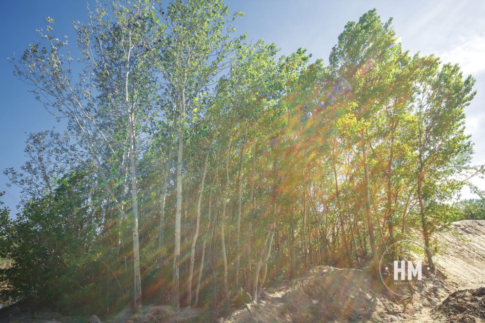 Мальдіви в Дніпрі - Наше Місто