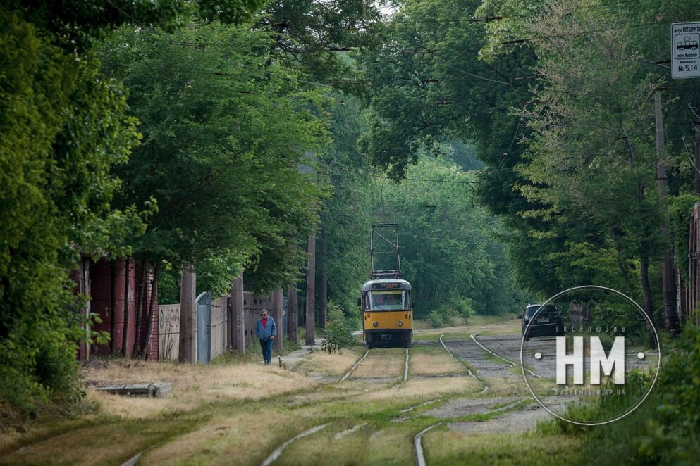 Новини Дніпра: Як виглядає тунель кохання 2023