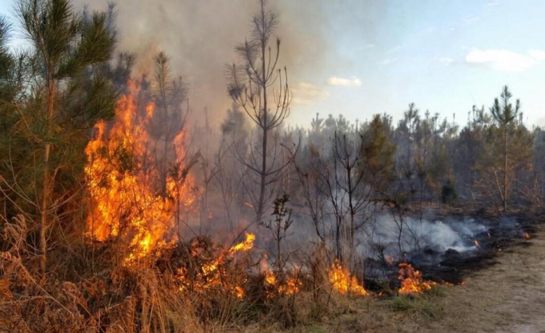 У Дніпрі та області оголосили надзвичайну пожежну небезпеку