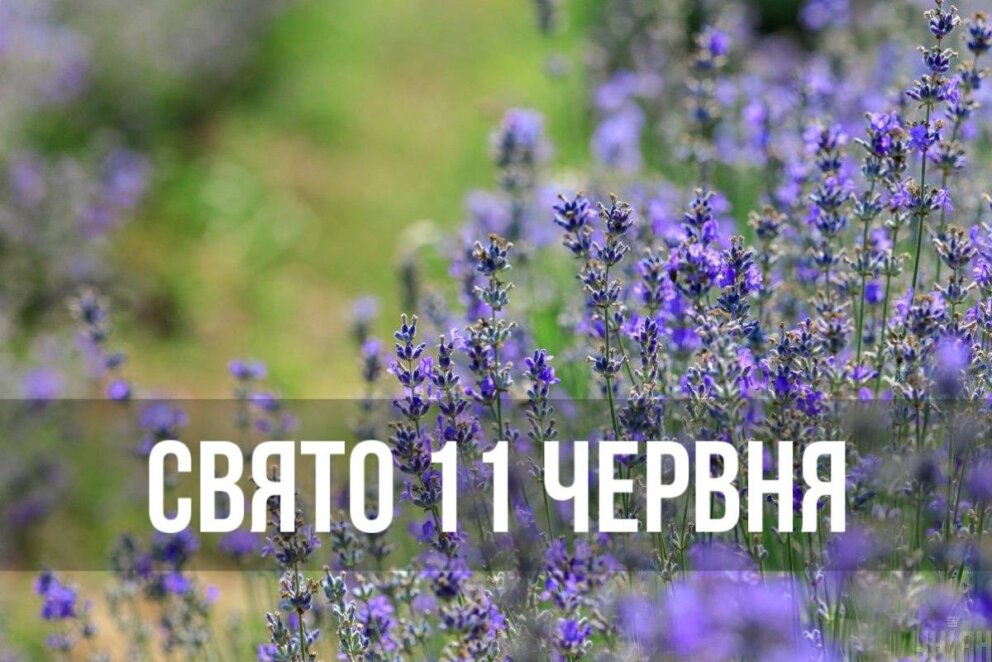 Новини Дніпра: Свято 11 червня