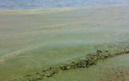 Чим загрожує опріснення води в Чорному морі  - Наше Місто