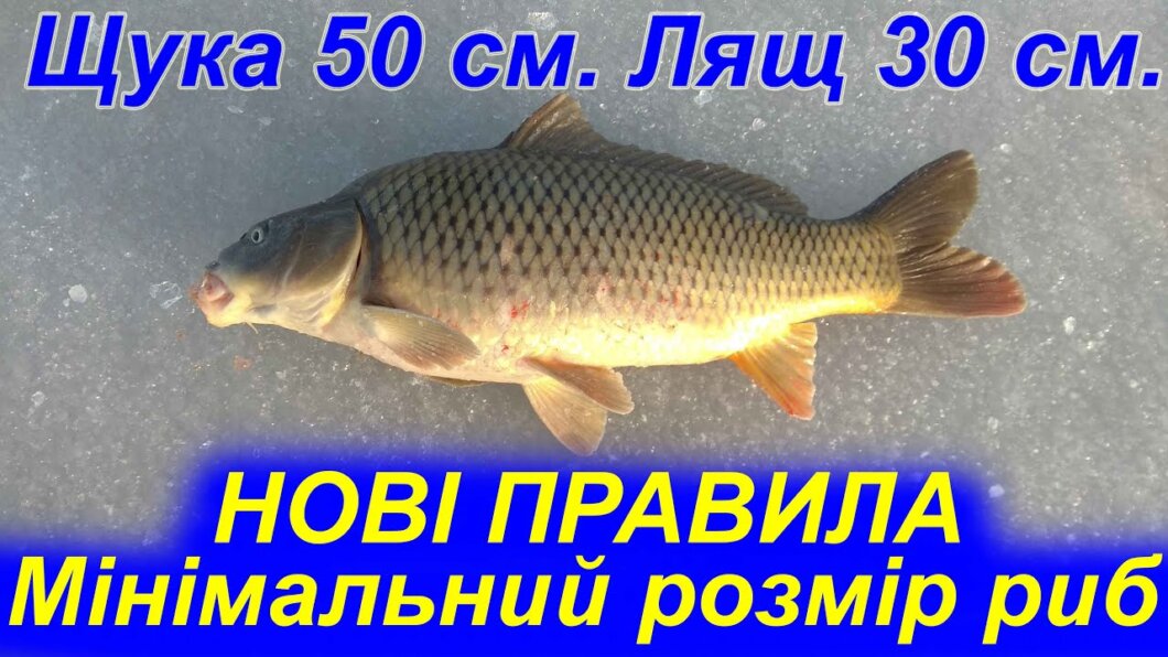 Новини Дніпра: Як підрив ГЕС вплинув на риболовлю