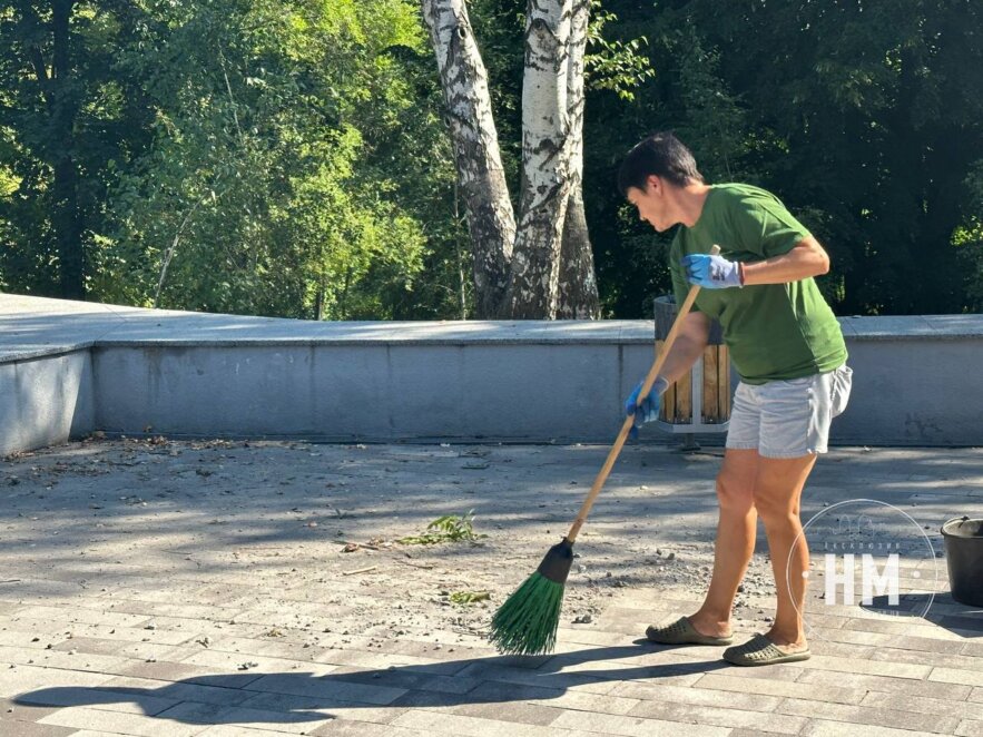 Як парк Зелений Гай оговтується після атаки - Наше Місто