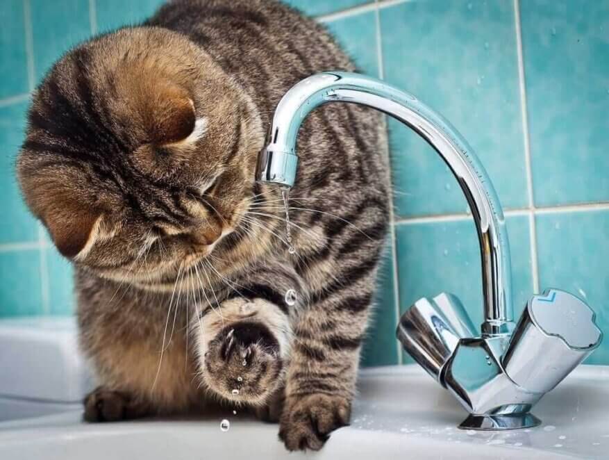 Відключення води у Дніпрі 15 серпня: адреси