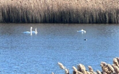 Підприємець вкрав у громади водосховище - Наше Місто