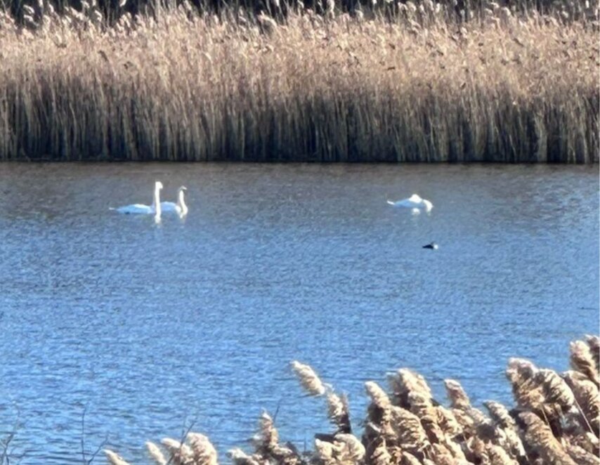 Підприємець вкрав у громади водосховище - Наше Місто