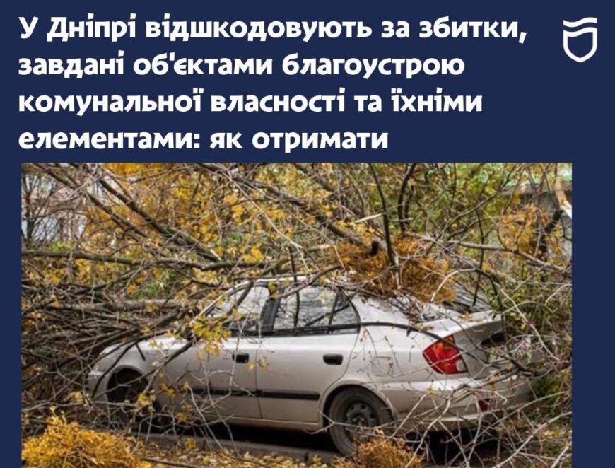 Як у Дніпрі отримати відшкодування за майно, якому завдано шкоду об'єктами благоустрою комунальної власності