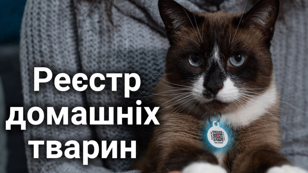 Єдиний реєстр домашніх тварин: що це і навіщо потрібне