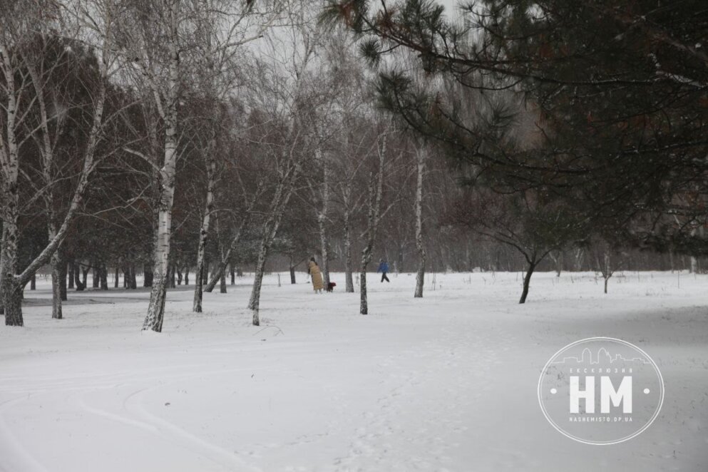 Різдвяна казка на вулицях міста: у Дніпрі мешканці радіють неймовірній зимовій красі (Фото)