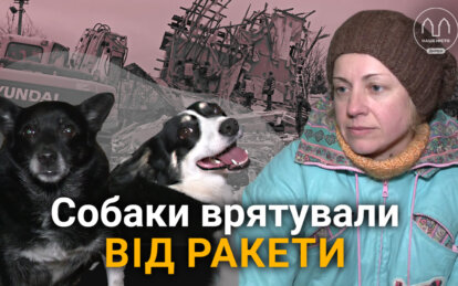 Жизнь спасли собаки: в пригороде Днепра вражеская ракета сравняла с землей дом волонтера